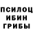 Галлюциногенные грибы Psilocybe Soffy Molodchina