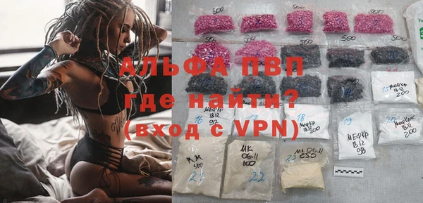ГАЛЛЮЦИНОГЕННЫЕ ГРИБЫ Заволжье