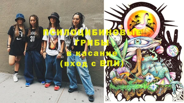 ГАЛЛЮЦИНОГЕННЫЕ ГРИБЫ Заволжье