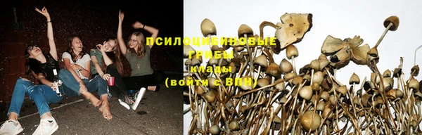 дурь Зеленокумск