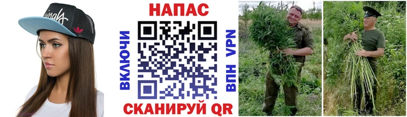 Конопля семена Хилок